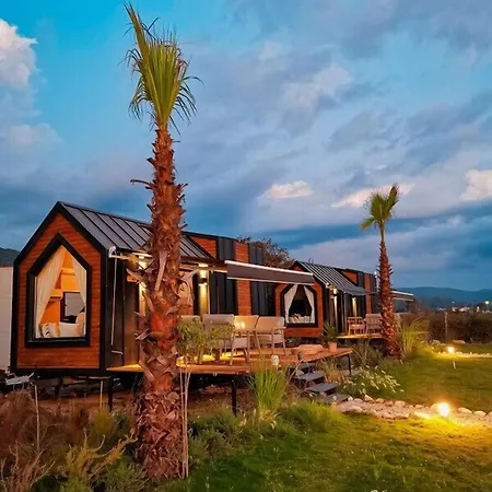 Hotel Albizia Boutique *